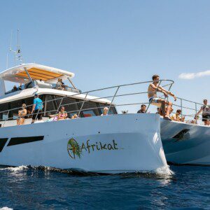 CATAMARAN TRIP AFC
