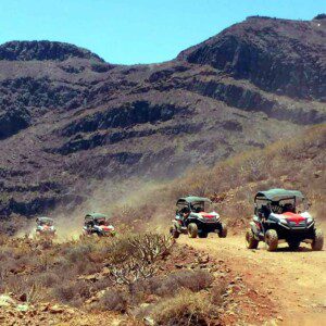 BUGGY 1H40 MIXED ROAD